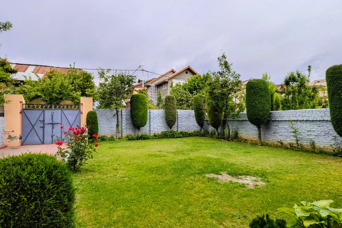 A neatly cut lawn framed by precisely shaped shrubs