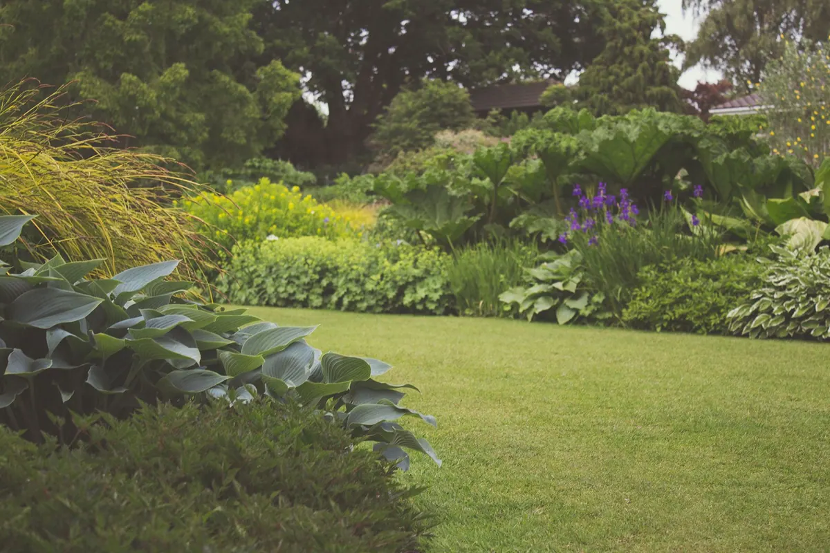 A lush lawn surrounded by layered garden beds and healthy plants