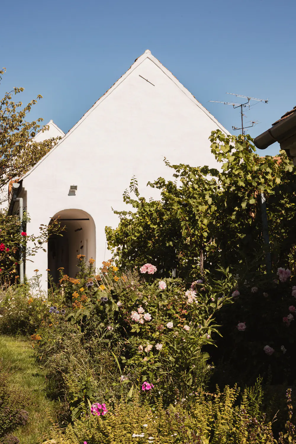 A colorful flower garden surrounding a bright residential home