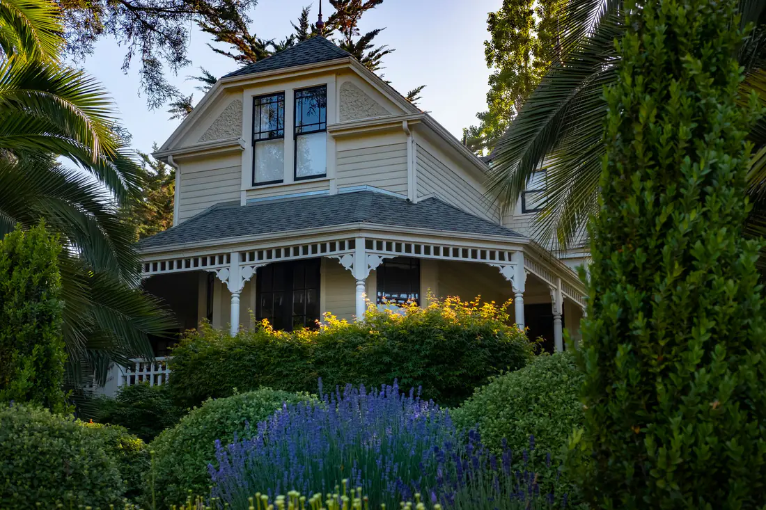 A landscaped home framed by sculpted shrubs and purple flowers