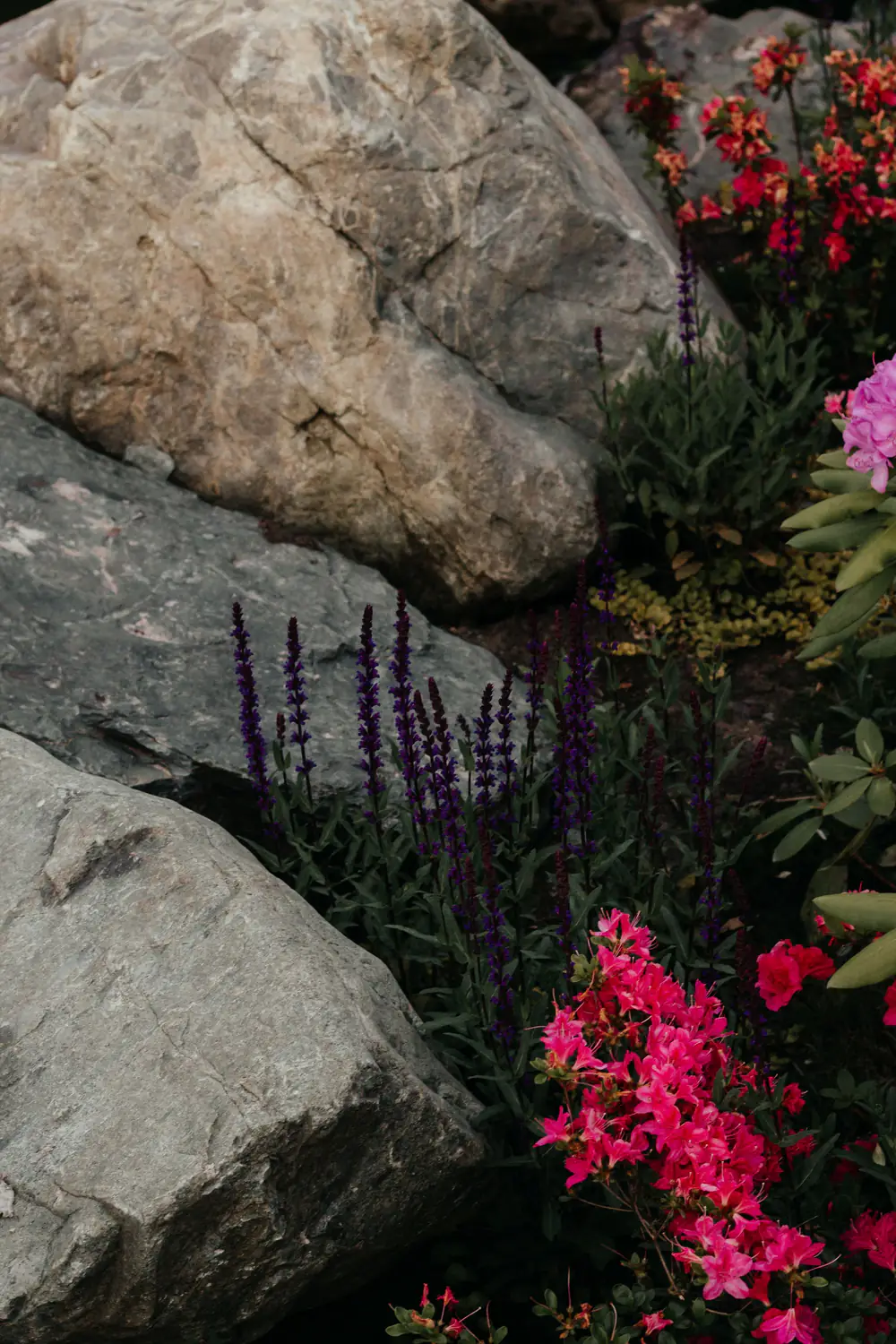 A detailed planting bed with natural stone and flowering plants
